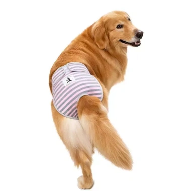 Quần sinh lý chó cái 5-60kg giặt được, thoáng khí, thấm hút, dây dán điều chỉnh, dùng quanh năm - Giá 330.631₫