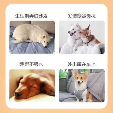 Quần sinh lý cho chó giặt được, tái sử dụng - Thoáng khí, chó cái giống nhỏ động dục quanh năm 4