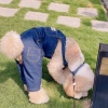 Quần yếm jeans chó lớn 10-40kg, mỏng nhẹ thoáng khí, chống rụng lông, mặc năm - 459k VND 3