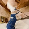 Quần yếm jeans chó lớn 10-40kg, mỏng nhẹ thoáng khí, chống rụng lông, mặc năm - 459k VND 5