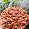 Quẩy Đùi Gà Phô Mai Cay 1kg Giòn Tan, Thơm Ngon - Giá ưu đãi 35.000đ 3