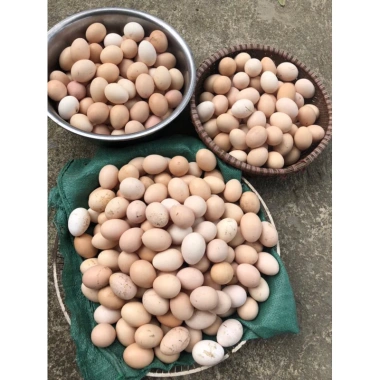 Quẩy Nếp Tú Lệ Thơm Béo Ngậy Giòn Tan 500g - Giá chỉ 95.000₫, giảm từ 116.850 8