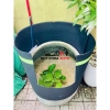 Quây rào chống chuột lẻ cắt từ cuộn ô tô – Độ bền cao, chỉ 550.000₫ giảm từ 709.500₫