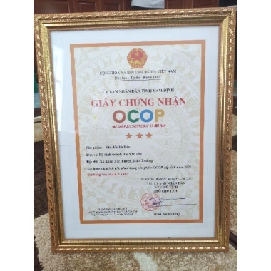 Quẩy Sâu Dâu Đặc Sản Nam Định – Trái Cây Tươi Ngon Giá 30.000 VND Giảm Sốc