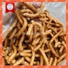 Quẩy Sâu Đường Gừng 1kg – Giảm Giá Sốc 55k, Thơm Ngon, Tăng Cường Sức Khỏe