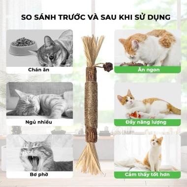 Que gỗ Bện Thừng Catnip giảm stress, sạch răng cho mèo - Nhai gặm 21.735₫ 5 Que gỗ Bện Thừng Catnip giảm stress, sạch răng cho mèo - Nhai gặm 21.735₫ 5