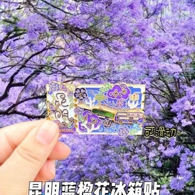 Quinming Jacaranda Kim Loại Tủ Lạnh Nam Châm Trượt Sáng Tạo Quà Lưu Niệm Du Lịch 85.800 VND 2 Quinming Jacaranda Kim Loại Tủ Lạnh Nam Châm Trượt Sáng Tạo Quà Lưu Niệm Du Lịch 85.800 VND 2