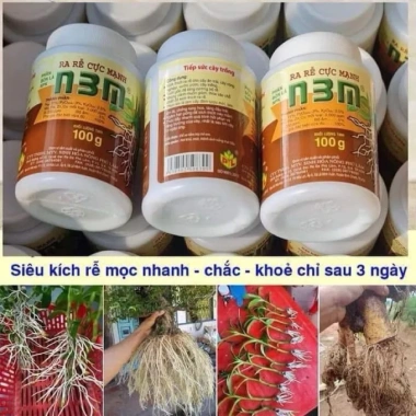RA RỄ N3M KEO LIỀN CÂY - LIỀN SẸO HỒNG ĐEN MỸ TIẾN, hỗ trợ chiết cành, chỉ 58.000đ
