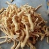 Rễ Đinh Lăng Nếp Bắc Tươi Rời 1kg - Ngâm Tửu & Làm Trà, Giá 105.000 VND 2