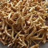 Rễ Đinh Lăng Nếp Bắc Tươi Rời 1kg - Ngâm Tửu & Làm Trà, Giá 105.000 VND 3