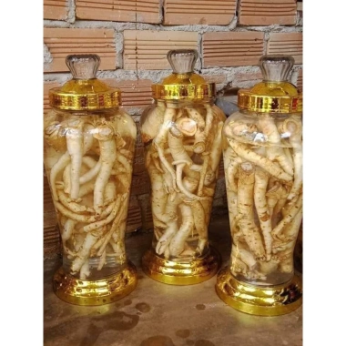 Rễ Đinh Lăng Nếp Bắc Tươi Rời 1kg - Ngâm Tửu & Làm Trà, Giá 105.000 VND 5