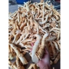 Rễ Đinh Lăng Nếp Bắc Tươi Rời 1kg - Ngâm Tửu & Làm Trà, Giá 105.000 VND 6