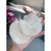 Rẻ vô đối SAN HÔ CHỤP ẢNH NAIL giá 50.000 - Độ phân giải cao dễ dùng nail art