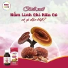 REISHI KIDS tăng đề kháng cho bé – Chiết xuất nấm Linh Chi tự nhiên, chỉ 232.800₫ 2