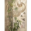 Rèm Cửa Tre Trung Hoa Không Rỉ - Vách Ngăn, Trang Trí Phòng Ngủ, Giá 194.400₫ 5
