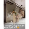 Rèm trang trí đa năng cho sự kiện, Spa, gia đình, rạp cưới - Cắt chiều dài tùy chỉnh, giá 95.000đ 6