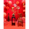 Rèm Vải Nhung Lông Đỏ Cờ Trang Trí Tết Tiệc Cưới Lễ Hội Xu Hướng 2.026 238k
