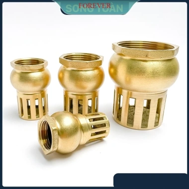 Rọ Hút Máy Bơm Luppe Bơm Nước 1 Chiều Ren Dân Dụng Bằng Đồng Bền Đẹp Giá 125.580₫