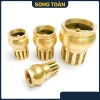 Rọ Hút Máy Bơm Luppe Bơm Nước 1 Chiều Ren Dân Dụng Bằng Đồng Bền Đẹp Giá 125.580₫ 4