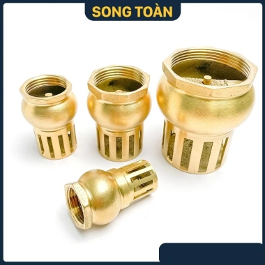 Rọ Hút Máy Bơm Luppe Bơm Nước 1 Chiều Ren Dân Dụng Bằng Đồng Bền Đẹp Giá 125.580₫ 4 Rọ Hút Máy Bơm Luppe Bơm Nước 1 Chiều Ren Dân Dụng Bằng Đồng Bền Đẹp Giá 125.580₫ 4