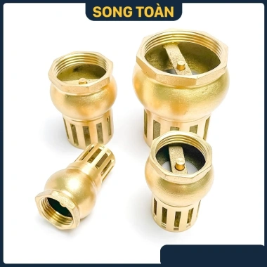 Rọ Hút Máy Bơm Luppe Bơm Nước 1 Chiều Ren Dân Dụng Bằng Đồng Bền Đẹp Giá 125.580₫