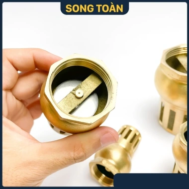 Rọ Hút Máy Bơm Luppe Bơm Nước 1 Chiều Ren Dân Dụng Bằng Đồng Bền Đẹp Giá 125.580₫