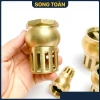 Rọ Hút Máy Bơm Luppe Bơm Nước 1 Chiều Ren Dân Dụng Bằng Đồng Bền Đẹp Giá 125.580₫ 8