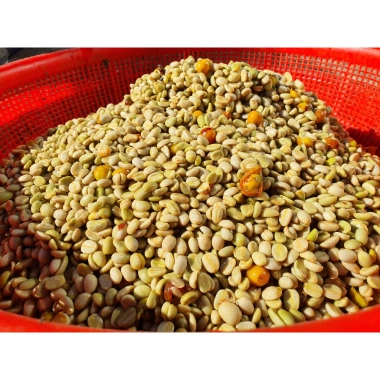 Robusta Honey - Cà phê rang xay mộc, gu ngọt mạnh, hậu vị sâu, thơm mùi quả chín - 125k 9