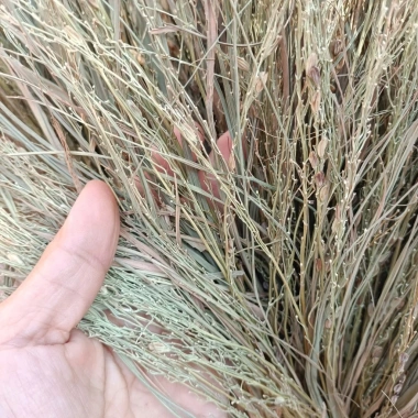 Rơm Nếp Khô Sạch Trang Trí Đẹp, Đốt Tro Sạch - Giá 38.000đ/kg, Loại Đẹp 3 Rơm Nếp Khô Sạch Trang Trí Đẹp, Đốt Tro Sạch - Giá 38.000đ/kg, Loại Đẹp 3