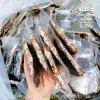 Rong Biển Kẹp Hạt Dinh Dưỡng 500gr - Giá Trị Dinh Dưỡng Cao, Giảm Giá 125k 2