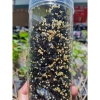 Rong biển sấy tỏi mè 250gr - Đồ ăn vặt lành mạnh, ăn trực tiếp hoặc kèm cơm, giá ưu đãi 85.000 4