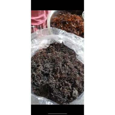 Rong Khô Tự Nhiên - Rong Biển Nấu Nước Sâm 15,000đ Giá Ưu Đãi, Thơm Ngon, Dinh Dưỡng 5 Rong Khô Tự Nhiên - Rong Biển Nấu Nước Sâm 15,000đ Giá Ưu Đãi, Thơm Ngon, Dinh Dưỡng 5