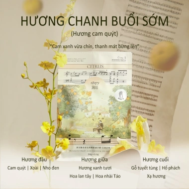 Roopy Mặt Nạ Tay AHA Tinh Dầu Fougère 38g 3 Lần - Spa Thượng Hạng Tại Nhà, Da Sáng Rỡ, Giảm Giá 195.800 VND 8