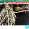 Root King 10 Lọ Siêu Kích Rễ Kích Mầm – Diệt Nấm Sâu Bệnh, Kích Thúc Rễ, Dễ Dùng, 30,000₫ 6