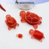 Rùa Dạ Quang Nhỏ - Micro Phong Cảnh Trang Trí Nhà, Quà Tặng VN 13.530đ