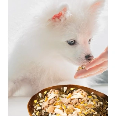 Ruốc gà sấy khô 500g Thịt sấy vụn mix hạt cơm pate cho chó mèo 41.000 VND 3