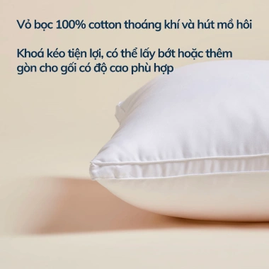 Ruột gối 50x70cm gòn lông vũ microfiber - Nâng đỡ cổ, siêu mềm, giảm giá 20% 2