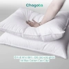 Ruột Gối Chagota Bedding 45x65cm Sợi Gòn Polyester Mềm Mịn Đàn Hồi Tốt Không Xẹp Lún Giá 179.000₫ 5