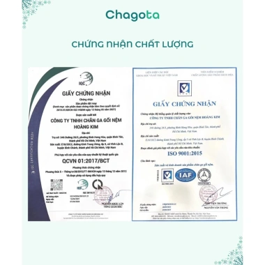 Ruột Gối Chagota Bedding 45x65cm Sợi Gòn Polyester Mềm Mịn Đàn Hồi Tốt Không Xẹp Lún Giá 179.000₫