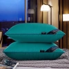 Ruột gối đầu cao cấp mềm mại 45-65cm chống mỏi cổ - Giá chỉ 29.000₫ 8