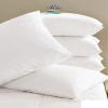 Ruột Gối Hơi Cao Cấp RIOTEX 40x60, 50x70, 35x105 - Đệm êm, Giá Ưu Đãi 101.000 VND 4