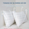 Ruột gối lông vũ nhân tạo Microfiber EMA 45x65cm - Khách sạn 5 sao, giảm giá 222k 5