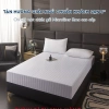 Ruột gối lông vũ nhân tạo Microfiber EMA 45x65cm - Khách sạn 5 sao, giảm giá 222k 7