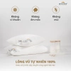 Ruột Gối Lông Vũ Tự Nhiên MP10G – Êm Ái, Thông Thoáng, Dễ Chịu, Giữ Độ Êm Mềm Lâu Dài – Giá 530k 2