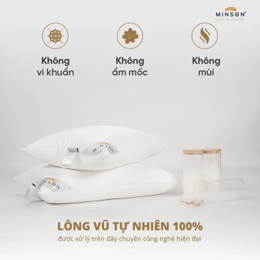 Ruột Gối Lông Vũ Tự Nhiên MP10G – Êm Ái, Thông Thoáng, Dễ Chịu, Giữ Độ Êm Mềm Lâu Dài – Giá 530k 2 Ruột Gối Lông Vũ Tự Nhiên MP10G – Êm Ái, Thông Thoáng, Dễ Chịu, Giữ Độ Êm Mềm Lâu Dài – Giá 530k 2
