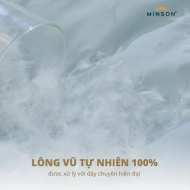 Ruột Gối Lông Vũ Tự Nhiên MP10G – Êm Ái, Thông Thoáng, Dễ Chịu, Giữ Độ Êm Mềm Lâu Dài – Giá 530k 4 Ruột Gối Lông Vũ Tự Nhiên MP10G – Êm Ái, Thông Thoáng, Dễ Chịu, Giữ Độ Êm Mềm Lâu Dài – Giá 530k 4