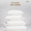 Ruột Gối Lông Vũ Tự Nhiên MP10G – Êm Ái, Thông Thoáng, Dễ Chịu, Giữ Độ Êm Mềm Lâu Dài – Giá 530k 5