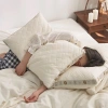 Ruột Gối Nhật Tencel Mịn Gạo - Giá Gốc 261k, Giảm còn 205k, Thoáng Mát, Giấc Ngủ Sâu 4