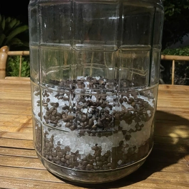 Rượu Cà Phê Robusta Jungle Brews Mai Chau 250ml - Trái Cây Lên Men Tự Nhiên, 250.000 VND