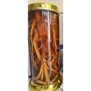 Rượu Đinh Lăng Ngâm 2 Năm 7 Năm Tuổi 50 độ 500ml và 1L - Giá Ưu Đãi 118.986₫ 2